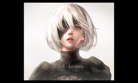 RIS.jpg