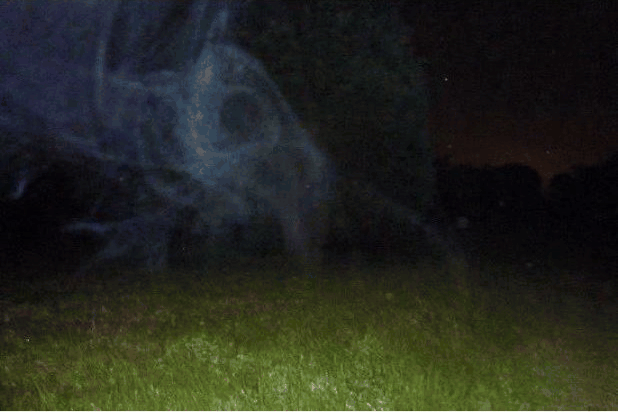 octophant ghost