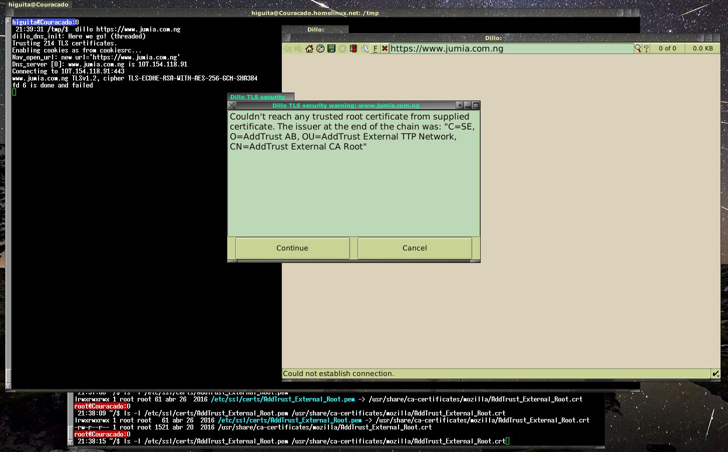 dillo CA error