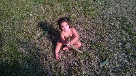 RIS.jpg