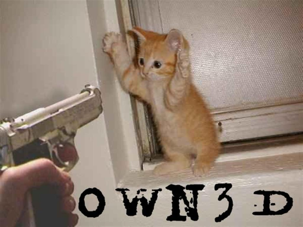 stickeuup.png