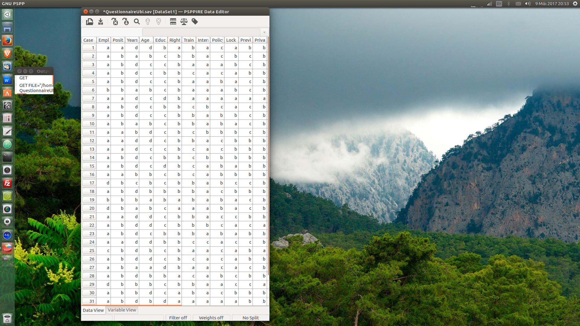 PSPP output window found
