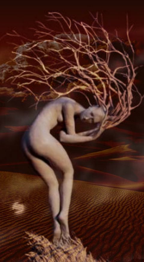 RIS.jpg