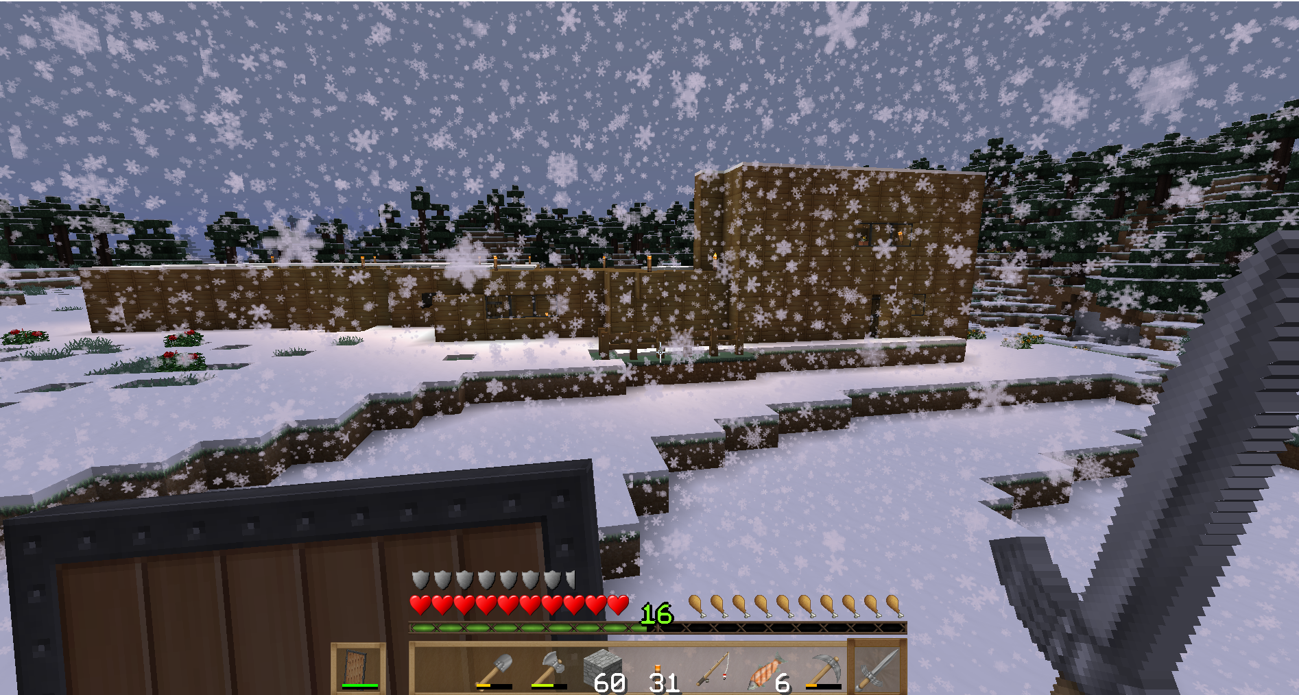 housewinter.png