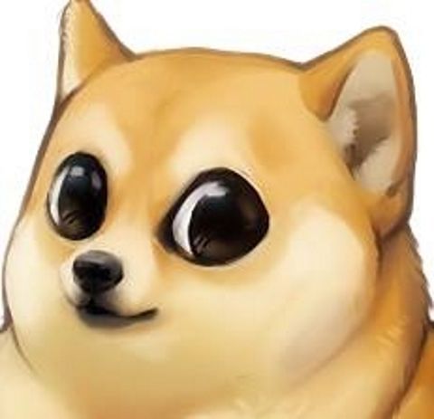 RIS.jpg