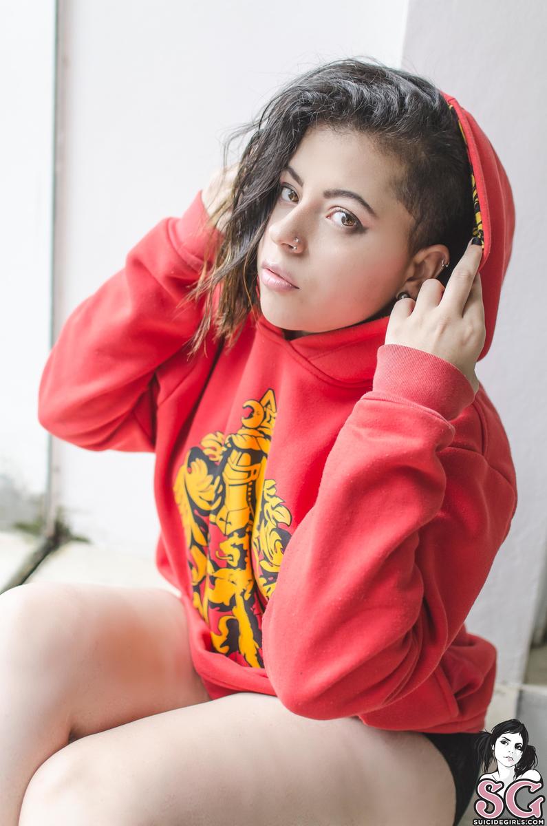 lollalucky-gryffindor-09.jpg
