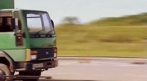 RIS.jpg