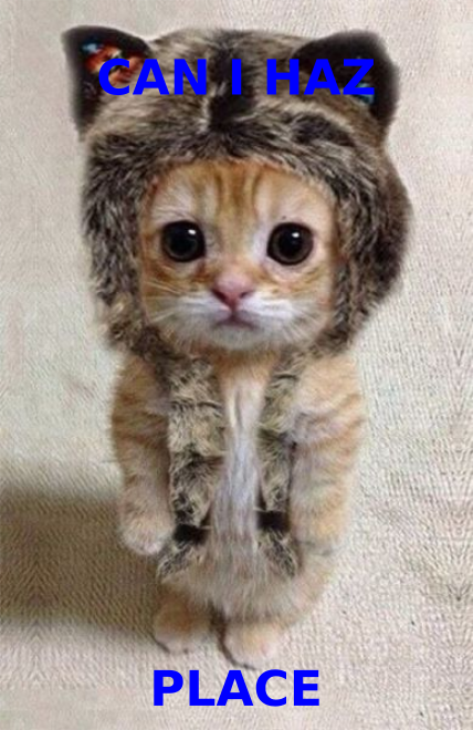 Can I haz place