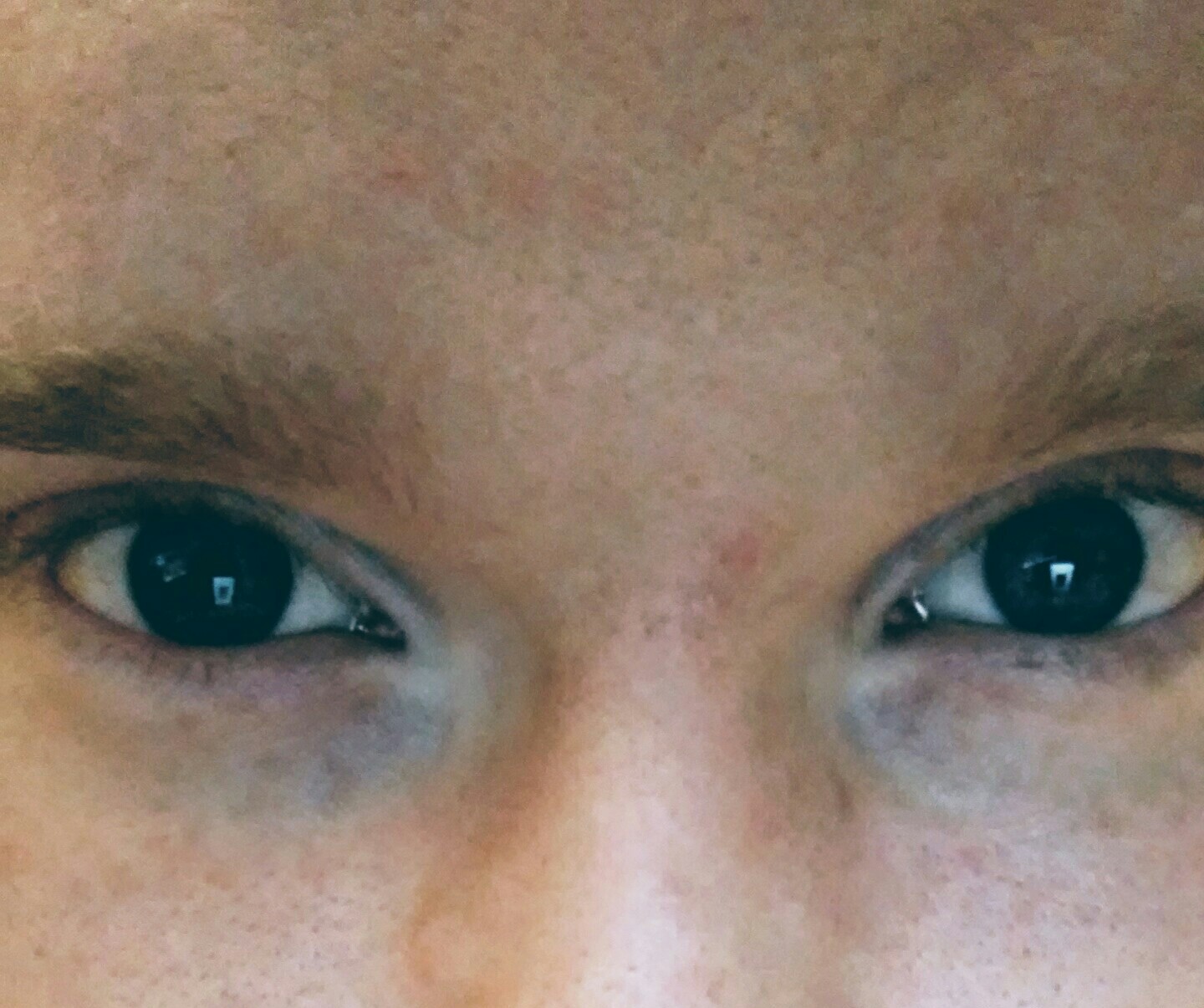 20170517_184929_HDR.jpg