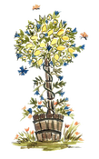 rsz_imageedit_1_3378277245.png