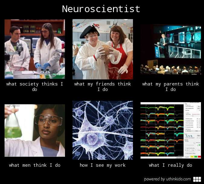 neuroscience_whatireallydo