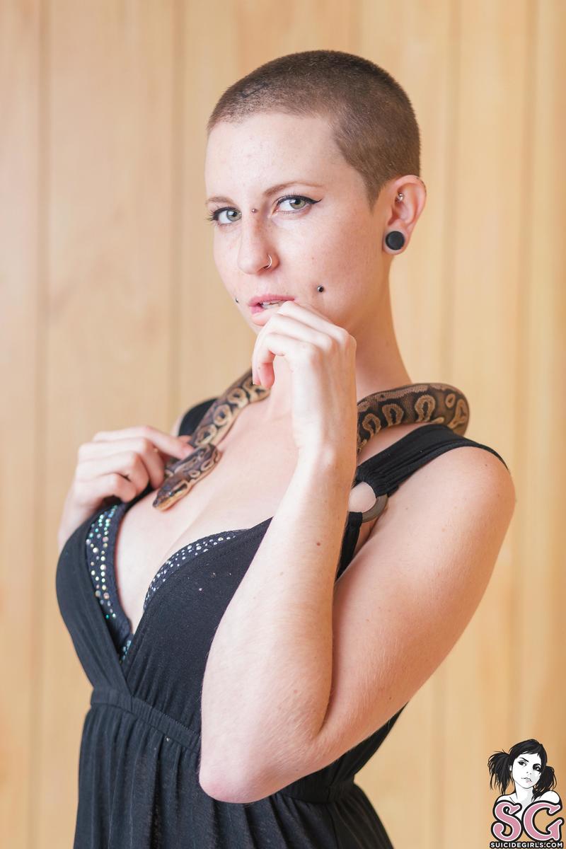 mewsuicide-animalbar-03.jpg