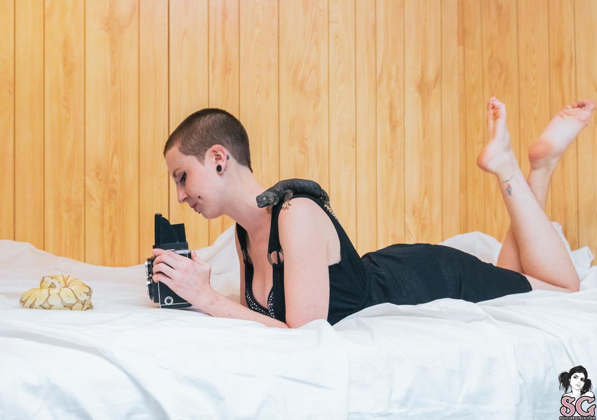 mewsuicide-animalbar-05.jpg