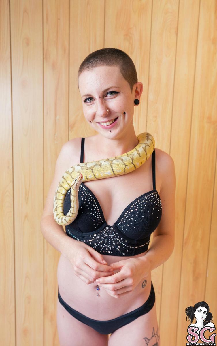 mewsuicide-animalbar-19.jpg