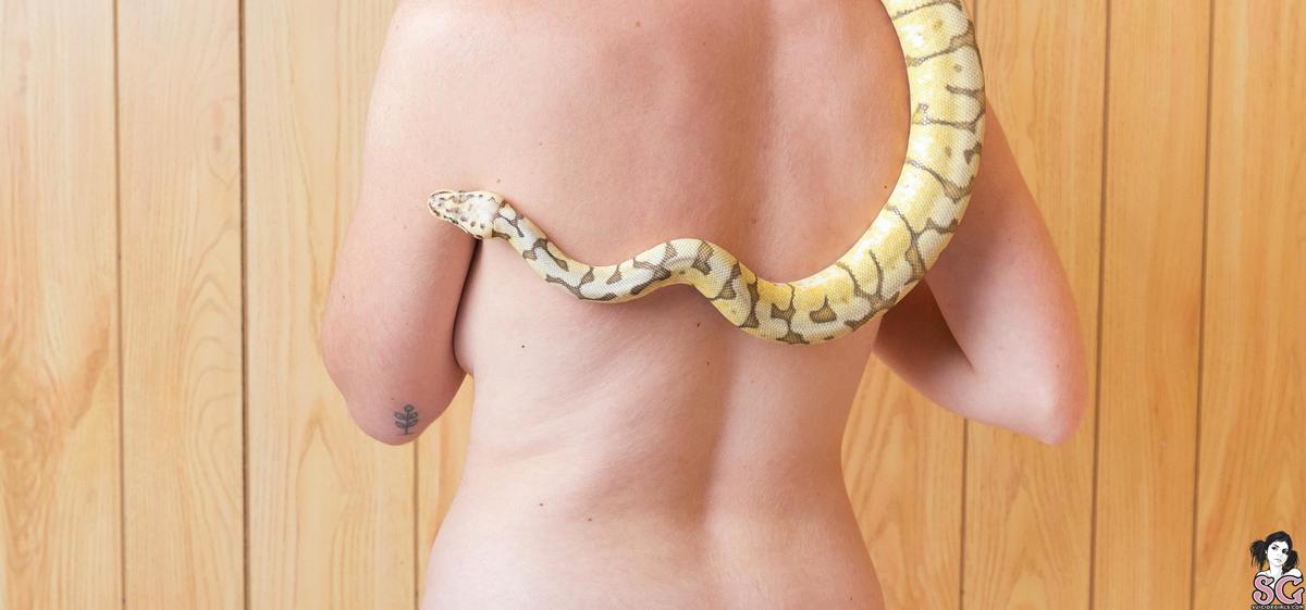 mewsuicide-animalbar-25.jpg