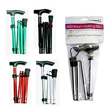 Walking Stick