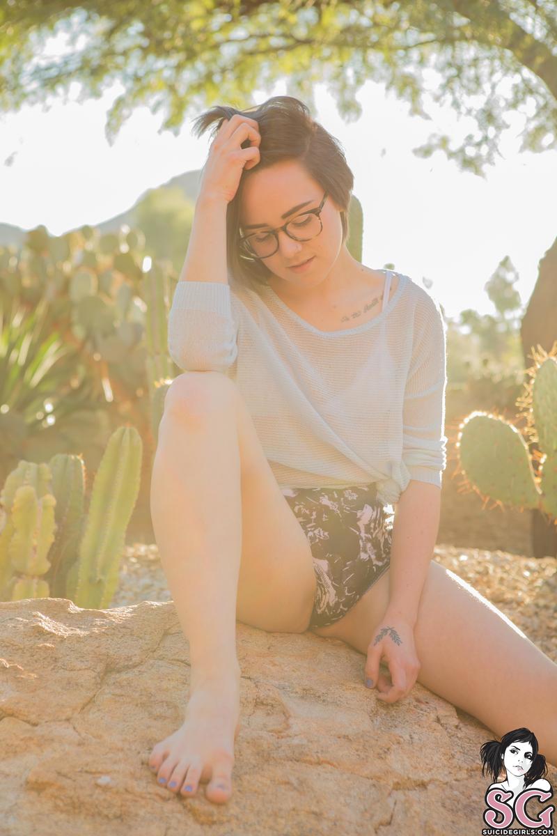 kactus-arizona-15.jpg