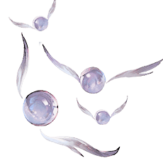 lumis.png