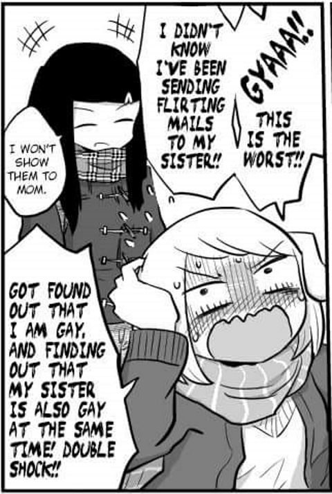 RIS.jpg