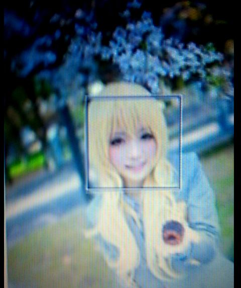 RIS.jpg