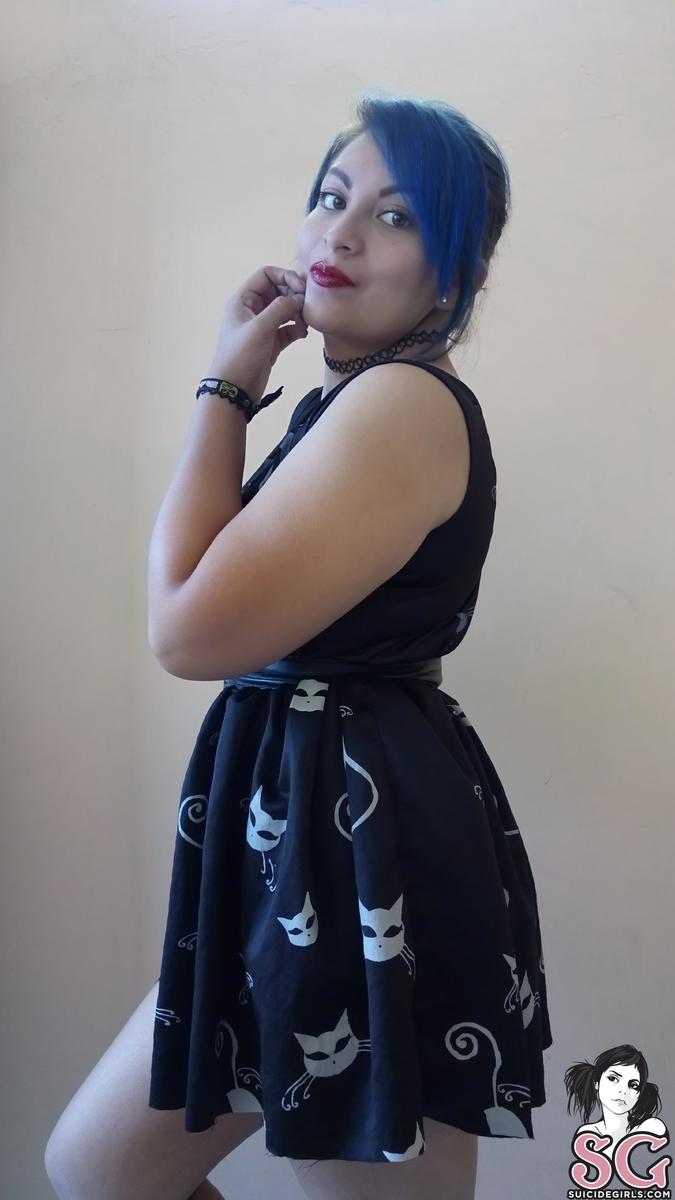 miniiksuicide-catsatdawn-01.jpg