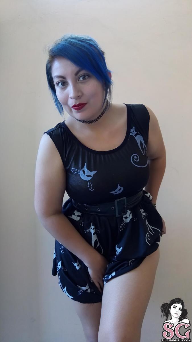 miniiksuicide-catsatdawn-05.jpg