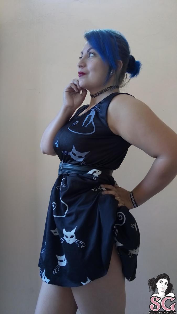 miniiksuicide-catsatdawn-07.jpg