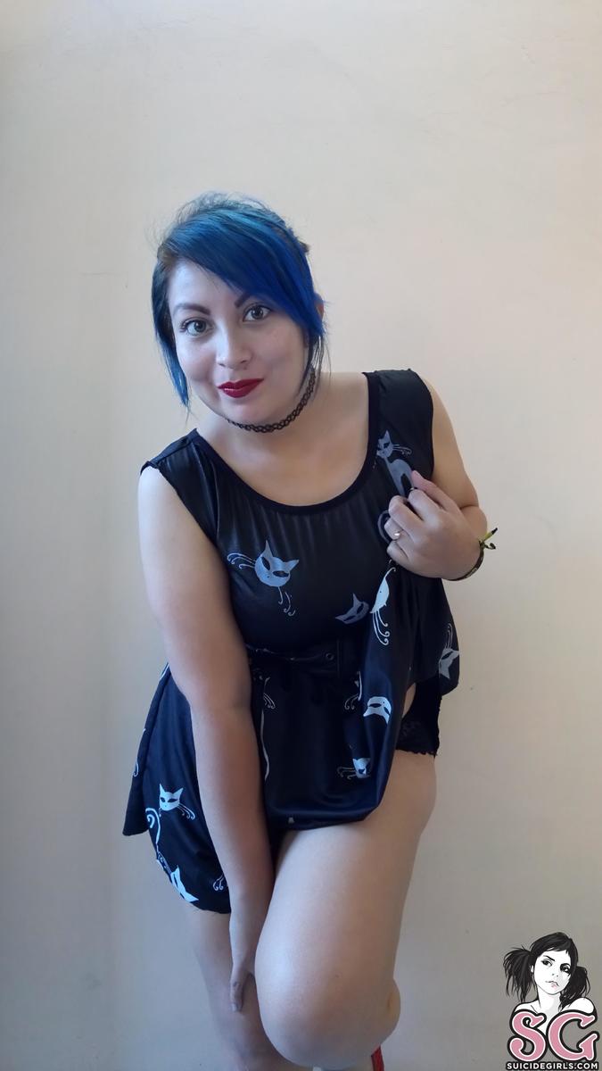 miniiksuicide-catsatdawn-09.jpg