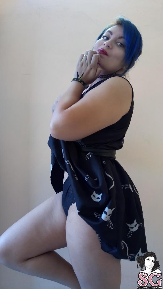 miniiksuicide-catsatdawn-11.jpg