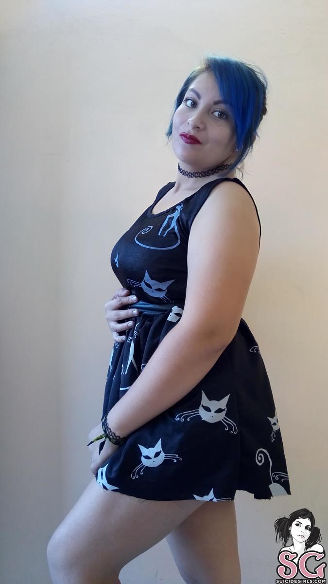miniiksuicide-catsatdawn-13.jpg