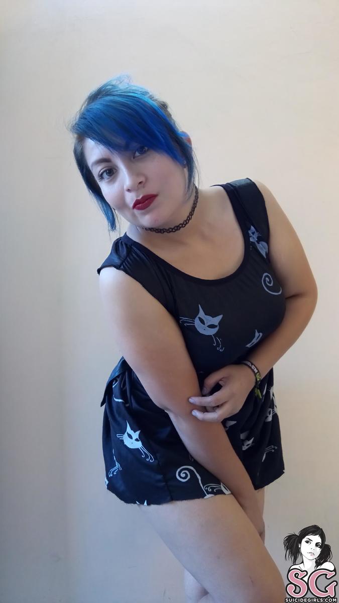 miniiksuicide-catsatdawn-15.jpg