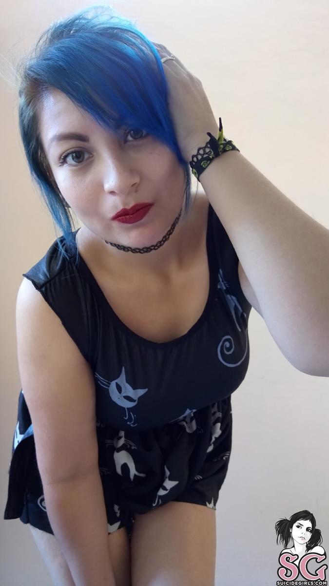 miniiksuicide-catsatdawn-17.jpg