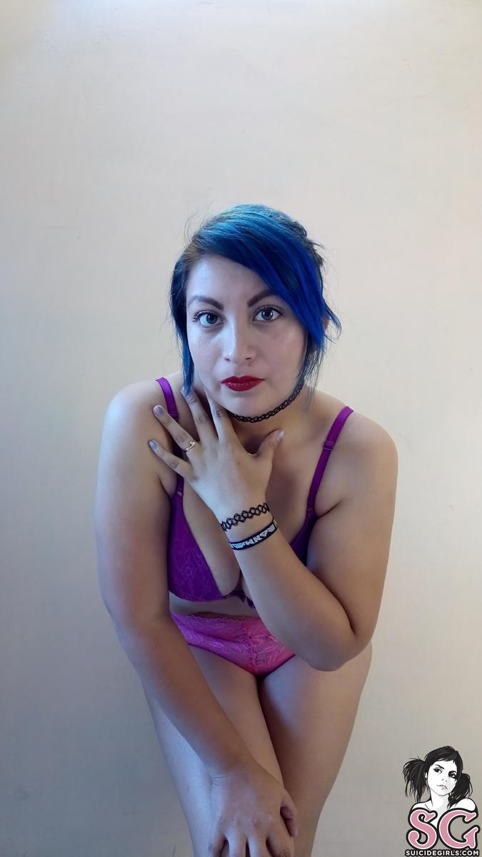miniiksuicide-catsatdawn-25.jpg