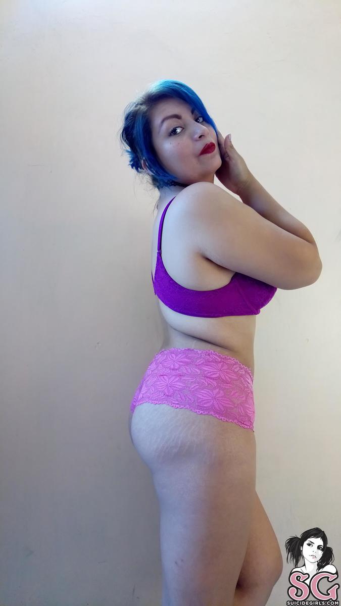 miniiksuicide-catsatdawn-31.jpg