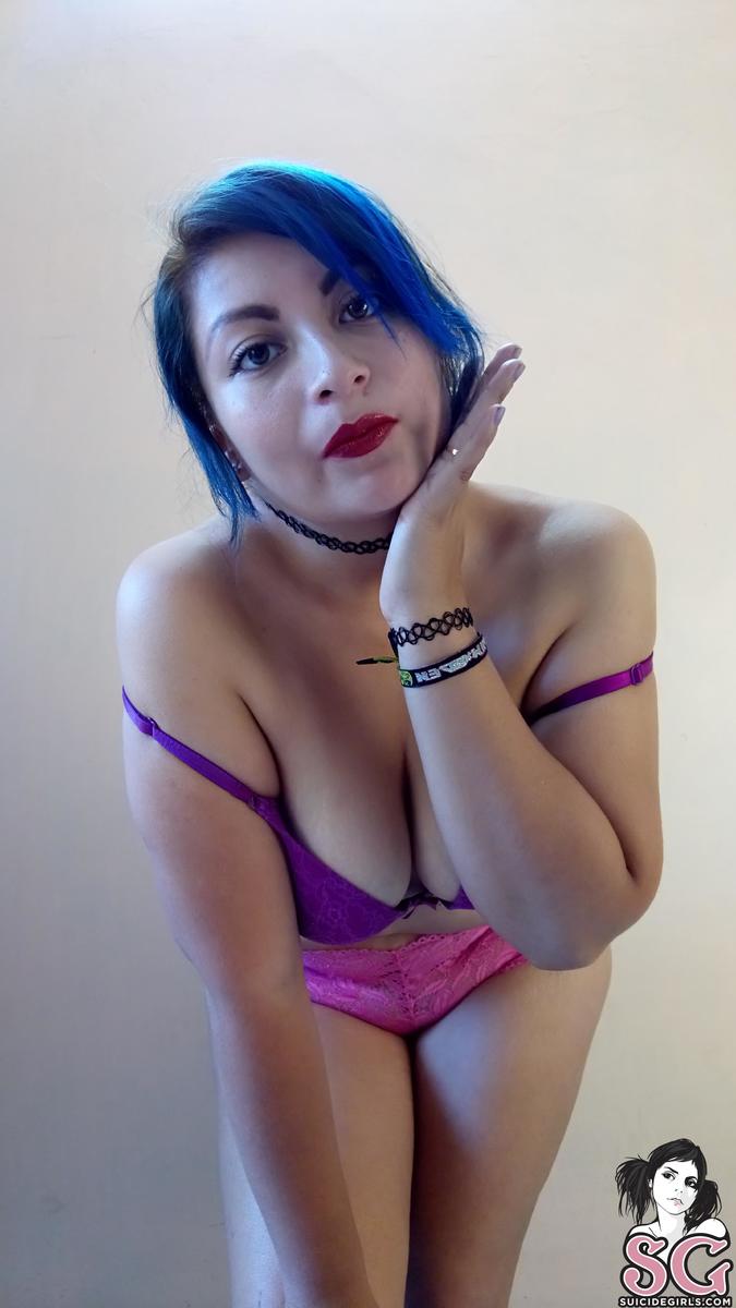 miniiksuicide-catsatdawn-35.jpg