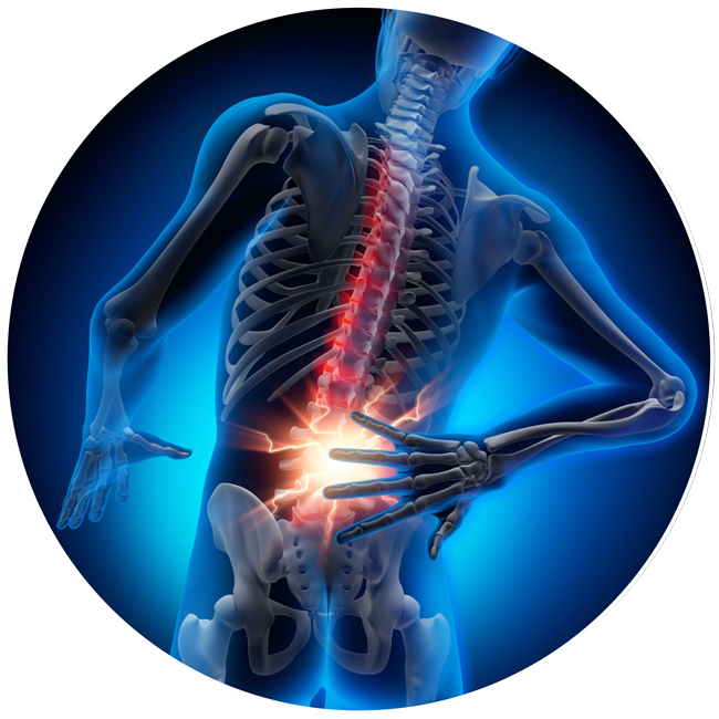 Orthopaedic Day Rehabilitation