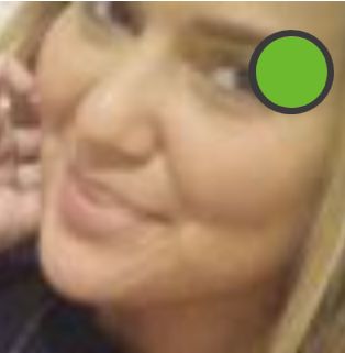 RIS.jpg