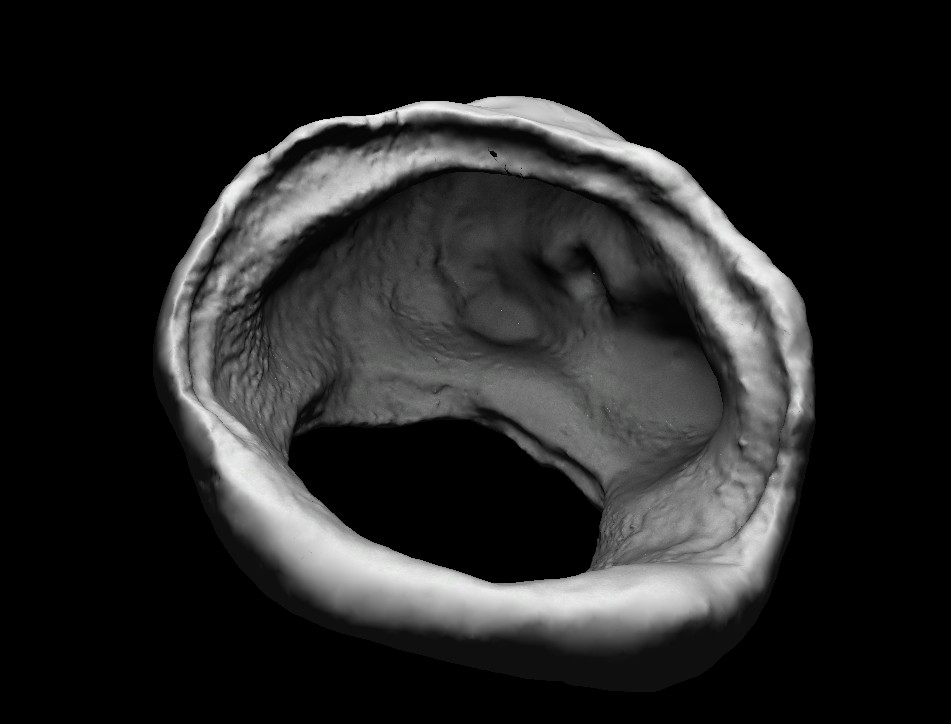 asteroid1.jpg