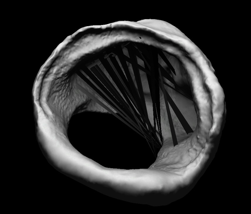 asteroid2.jpg
