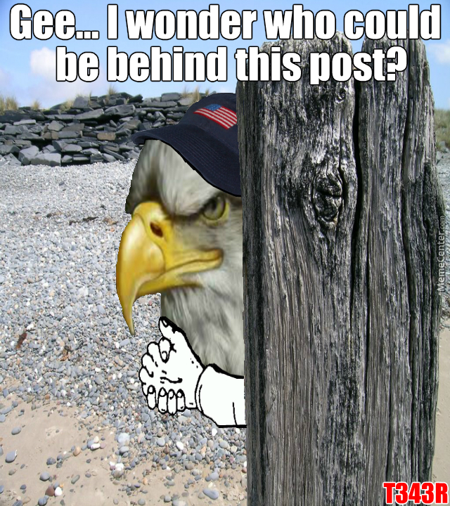 americawhoisbenindthis.jpg