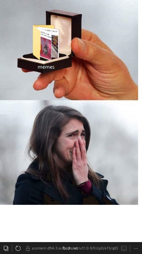 RIS.jpg