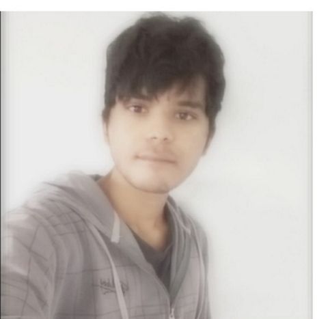 RIS.jpg