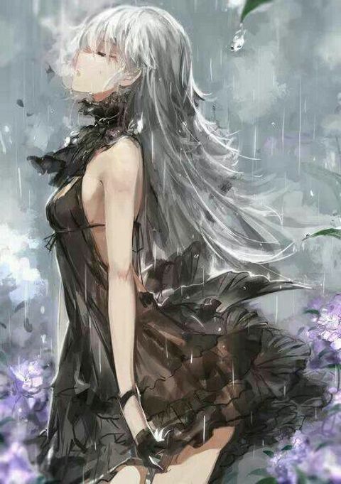 RIS.jpg