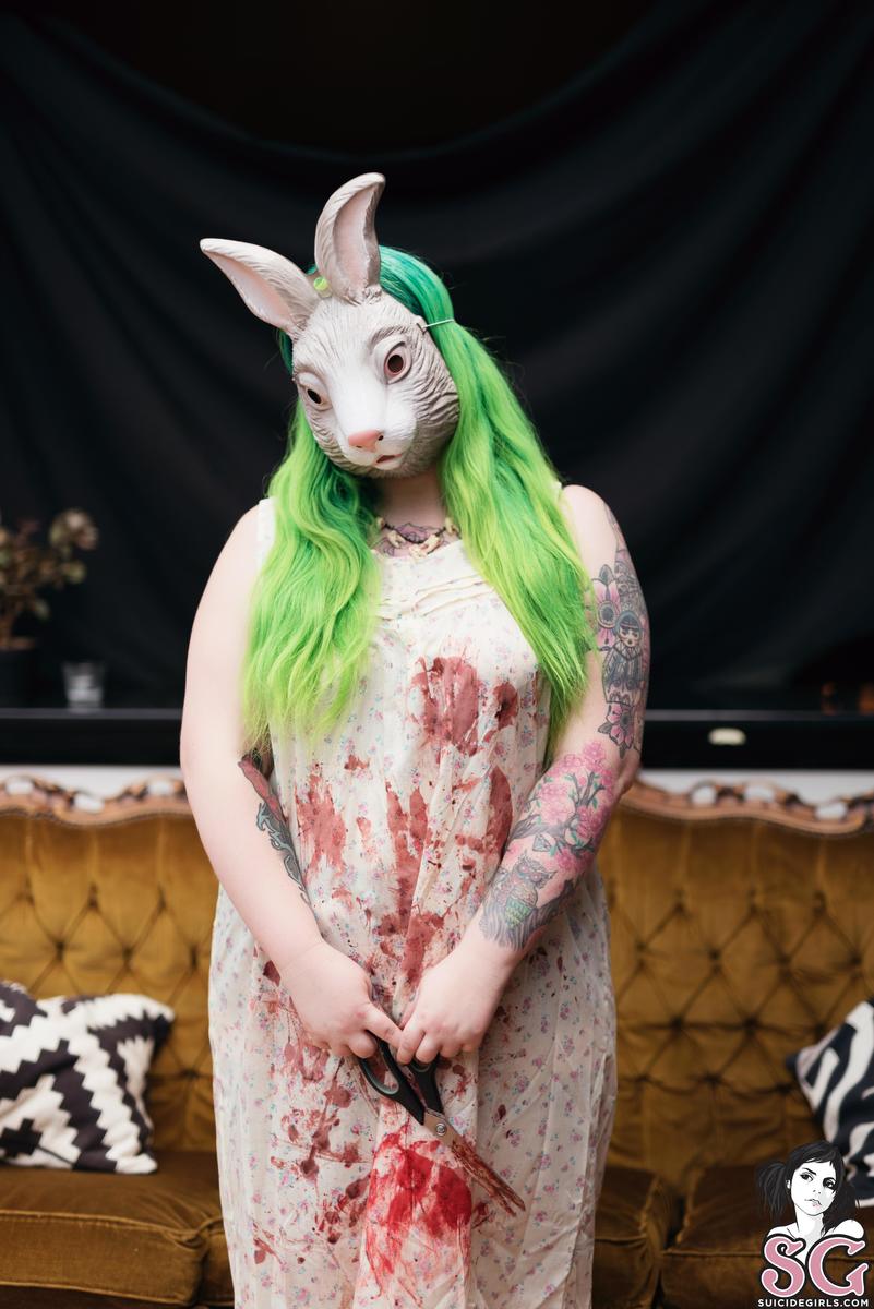 herisy-runrabbit-01.jpg