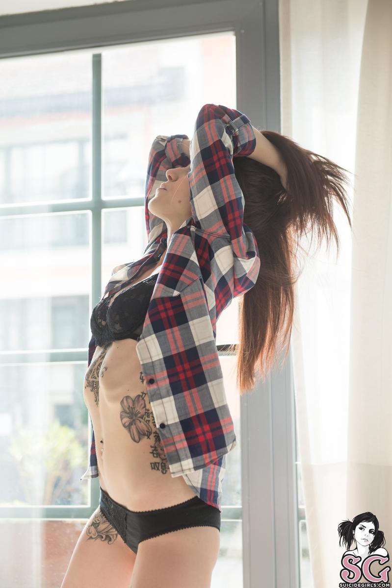 zenit-curtaincall-03.jpg