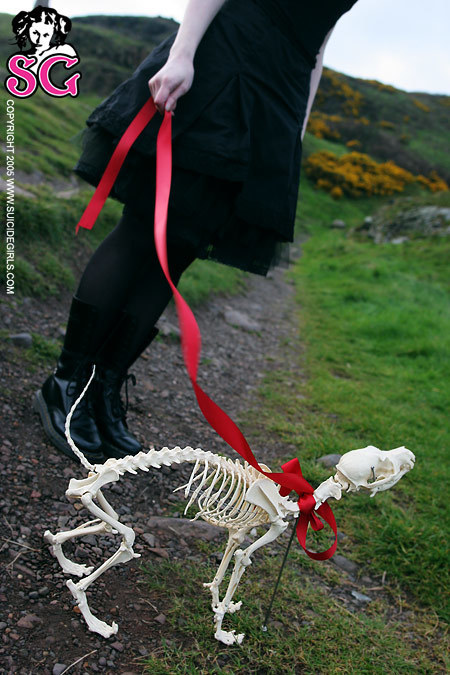 annalee-bonepuppy-01.jpg