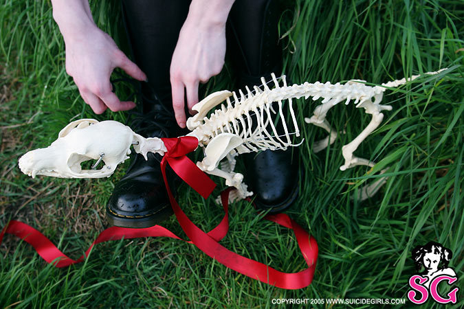 annalee-bonepuppy-09.jpg