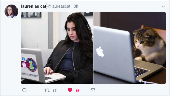 lauren-as-cat-1.png