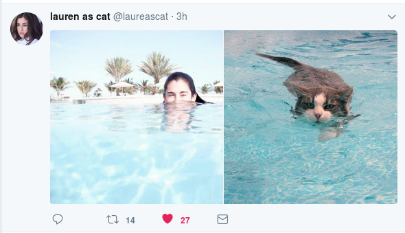 lauren-as-cat-2.png