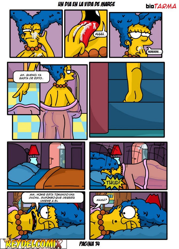 14.jpg